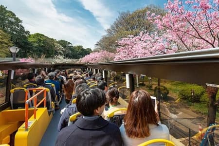 Tokyo: Open Top Sightseeing Bus with Audio Guide