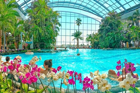 Therme Bucharest Tickets and Water Theme Park