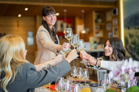 Valdobbiadene (Trévise): expérience de dégustation de prosecco