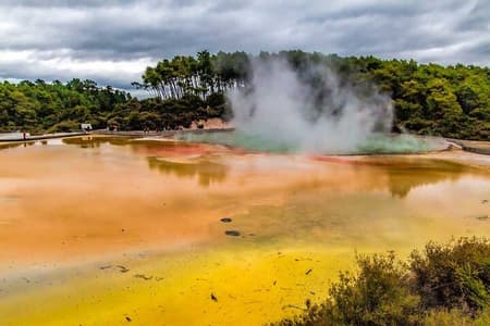 Rotorua to Wai-o-Tapu Thermal Wonderland Shuttle