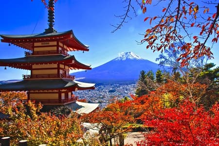 Berg Fuji und Kawaguchi-See 1 - Tagestour mit Luxusbus von Tokio