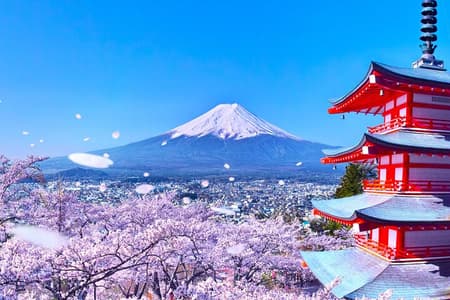 From Tokyo: Mount Fuji Sightseeing One Day Trip