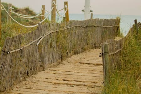 Albufera Natural Park Tour with Boat Ride from Valencia 
