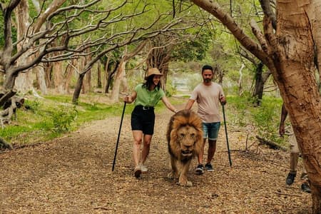 Casela Nature Park and Flic en Flac Beach Private Tour