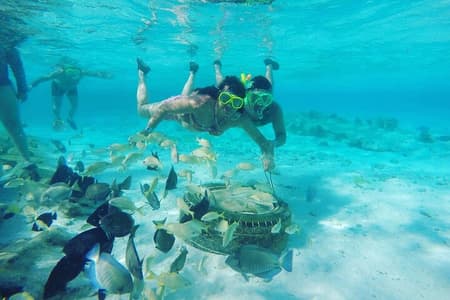 5 Tours in 1 : Johnny Cay, Haynes Cay Aquarium, Bahia and Mangroves