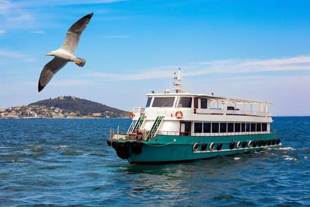 Istanbul Bosporus Sightseeing Cruise met audiogids