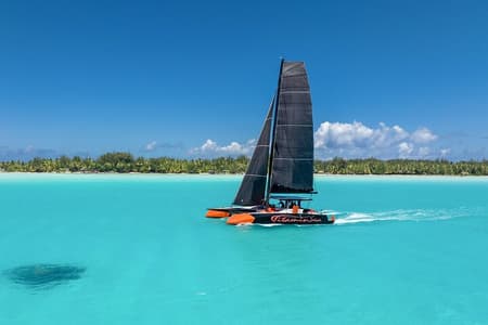 Excursion d'une demi-journée sur un catamaran et bar flottant à Bora Bora
