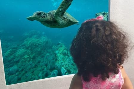 Yellow Semi Submarine Mini Cruise with a Swim Stop