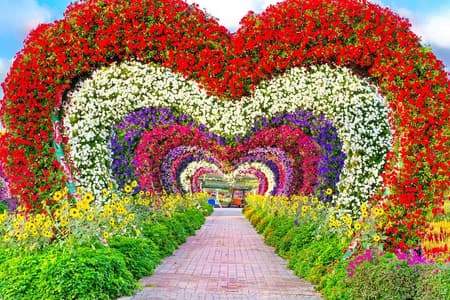 Dubai Miracle Garden Ticket und Transfer ohne Anstehen