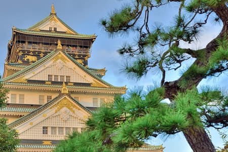 Osaka Castle Admission Ticket