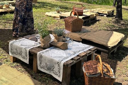 Picnic among the Olive Trees and Tasting of Oil and Local Flavors