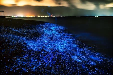 Bioluminescent Plankton, Sea Canoes & Sunset at James Bond Island