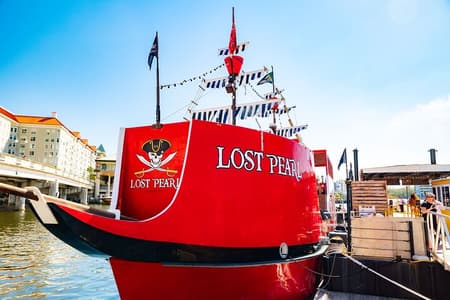 Pirate Adventure Cruise on Tampa Bay with Open Bar