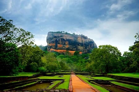 Excursión de un día en safari a la Roca del León de Sigiriya y el Templo de la Cueva Dorada