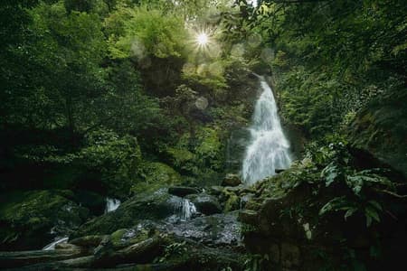 Shared Mtirala National Park Adventure from Batumi