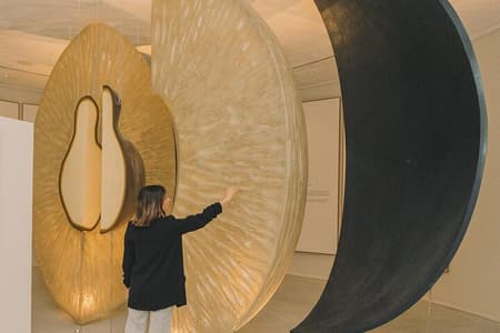 Porto: Wine Experience Museum with 3 Wine Tastings