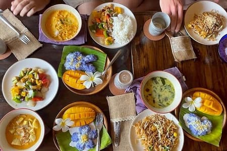 Kochkurs am Vormittag Chiang Mai Besuchen Sie den Bio-Garten und -Markt