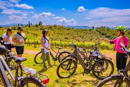 Chianti Hills E-Bike Tour with Tuscan Lunch & Two Wine Tastings