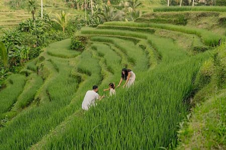 Private Customize Ubud Day Tour With Experienced Driver