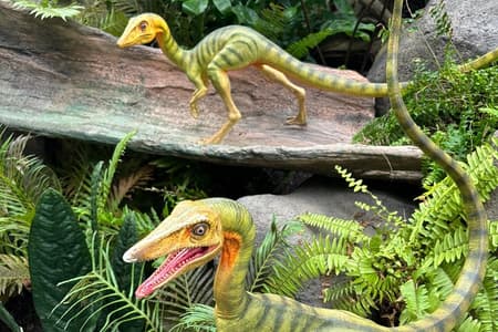 Visite de Singapour en petit groupe le matin avec jardins près de la baie