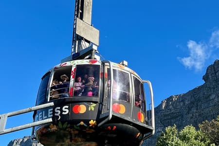Excursão privada de dia inteiro aos pinguins da Montanha da Mesa da Cidade do Cabo Cape Point