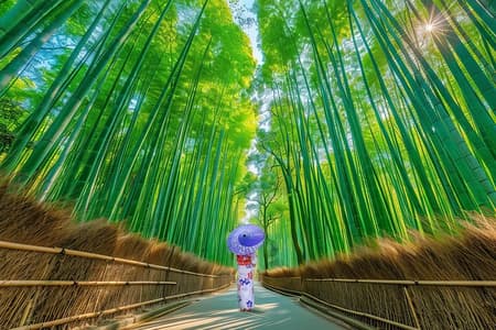 De Kyoto / Osaka : Visite d'une journée des lieux incontournables de Kyoto et du parc Nara