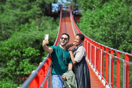 Meilleure visite de la DMZ en Corée au départ de Séoul (pont suspendu et musée JSA)