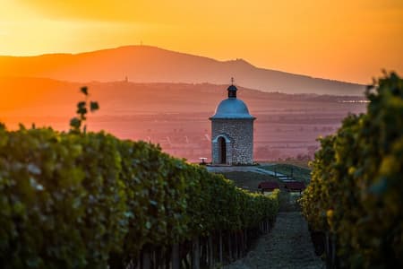 Gita di un giorno in Moravia con bici elettrica e vino da Brno