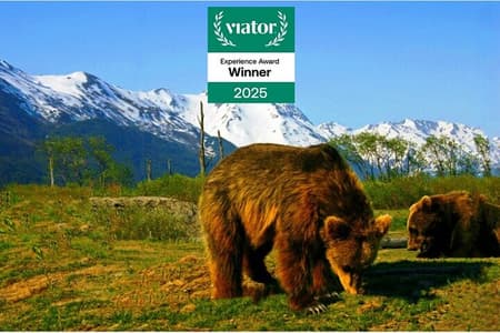 Gletsjerzicht en avontuurlijke ankerplaats in het wild