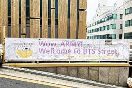 I Purple You: Small Group BTS K-pop Footsteps Journey Day Tour