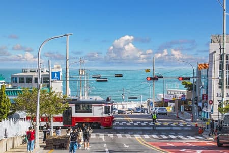 Busan Full-Day City Tour with Gamcheon Village, Sea Temple & more