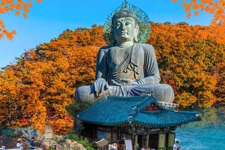 Mt.Seorak & Naksan Temple Day Trip from Seoul