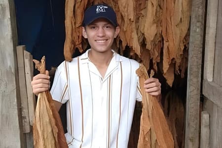 Learn the Art of Making a Cigar