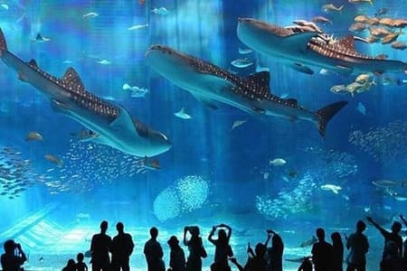 Hurghada Grand Aquarium and Zoo with Hotel Transfers