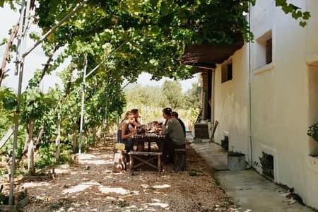 Vineyard Sips: Family Winery Tour & Gourmet Tasting in Corfu