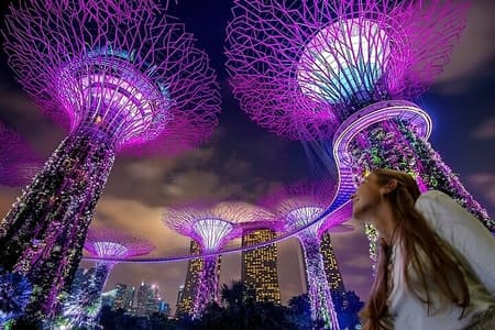 Visite guidée nocturne de Singapour avec 2 spectacles de lumière et croisière fluviale