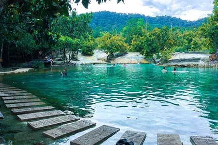 All day Krabi Jungle Tour (Hot Spring Water, Emerald Pool, Tiger Cave Temple)