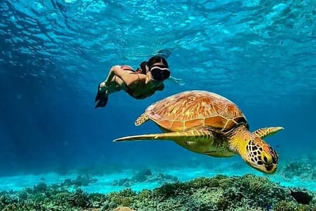 Gili Island Exclusieve privé snorkelen onderwater Escape