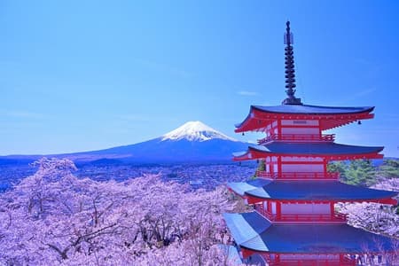 Tokyo: Mt.Fuji & Lake Kawaguchiko 1-Day Bus Tour w/Optional Lunch