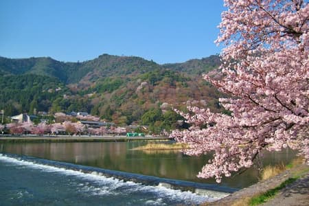 From Osaka/Kyoto: Kyoto & Nara Day Trip with Optional Lunch