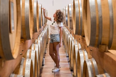 Cotes de Provence Wine Tour from Aix-en-Provence