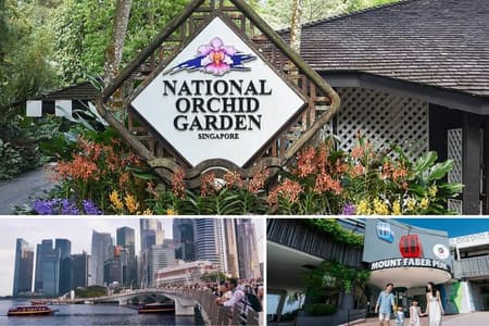 Expérience de la ville avec National Orchid Garden + transferts aller-retour