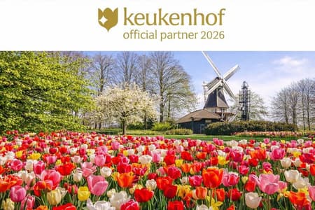 Amsterdam : Ingresso Keukenhof e bus navetta con ritorno flessibile