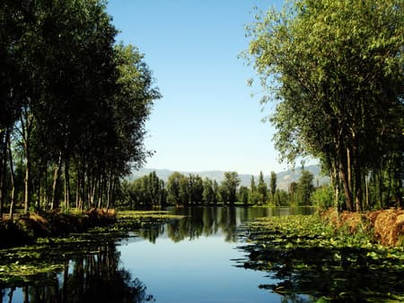 University City Tour and Fun Ride at Xochimilco