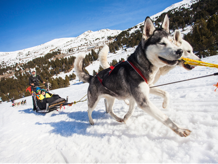 Grandvalira Mushing - Hundeschlitten