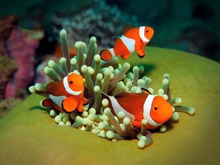 Palma Aquarium - Entrada