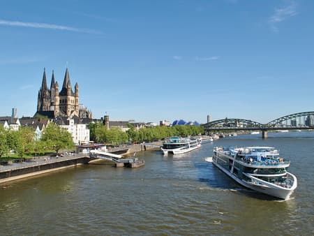 Crucero panorámico por el Rin