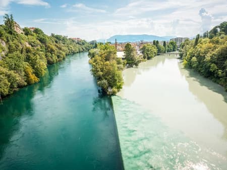 Geneve city tour and boat cruise