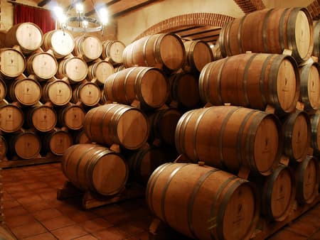 Bodegas Mendoza