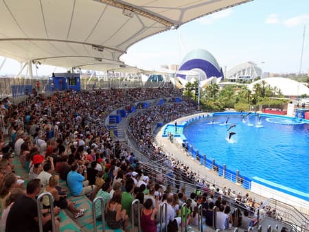 Museo de las Ciencias y L'Oceanogràfic